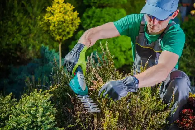 landscaping services Ontario